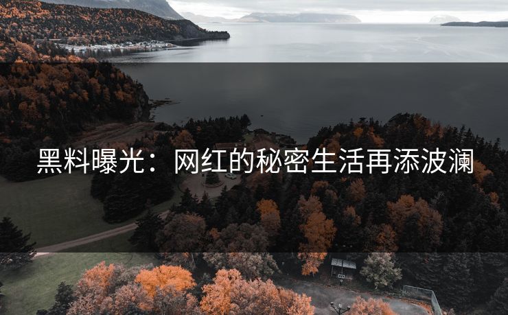 黑料曝光：网红的秘密生活再添波澜