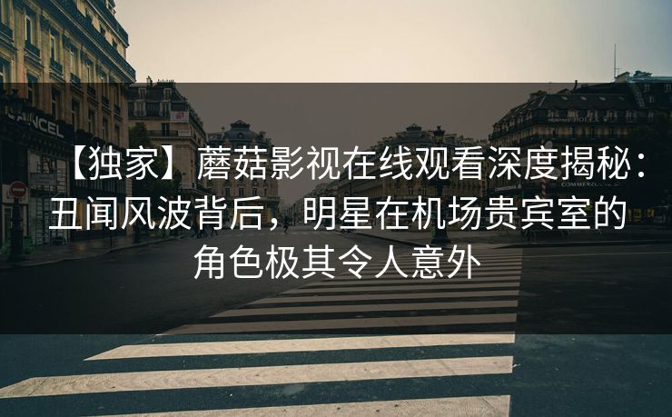 【独家】蘑菇影视在线观看深度揭秘：丑闻风波背后，明星在机场贵宾室的角色极其令人意外