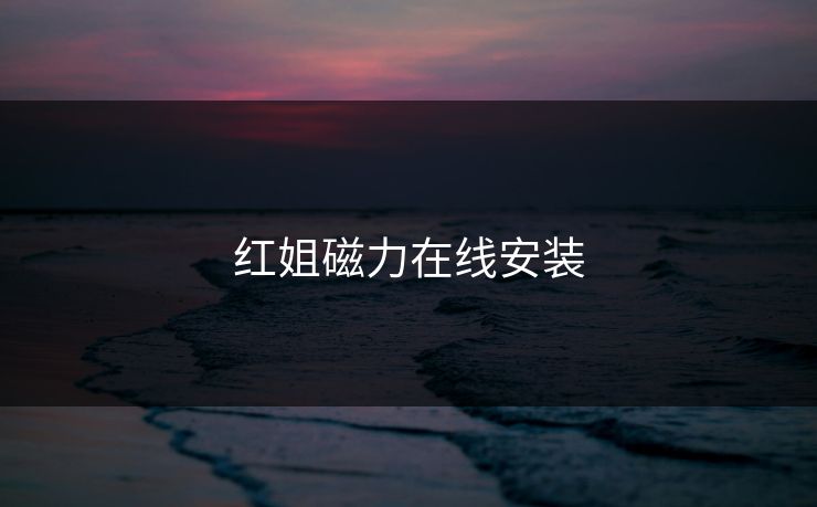 红姐磁力在线安装