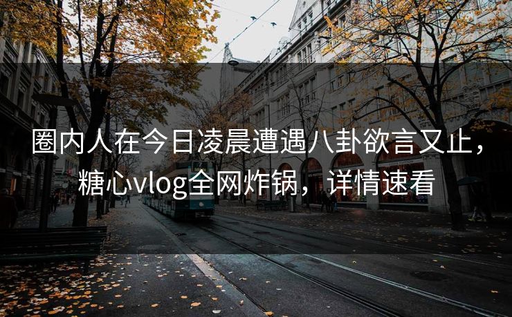 圈内人在今日凌晨遭遇八卦欲言又止，糖心vlog全网炸锅，详情速看